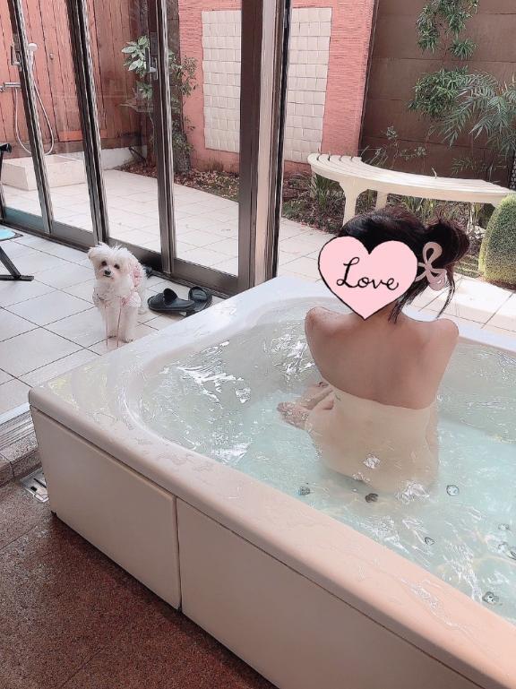 まったり旅館🐶🎂