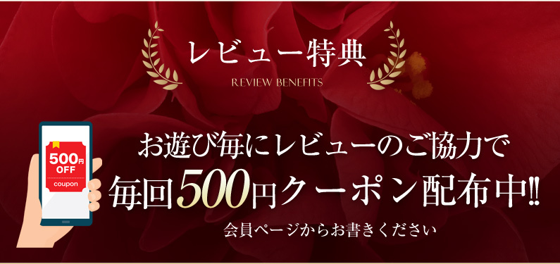 レビュー