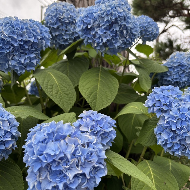 おはようございます☂️