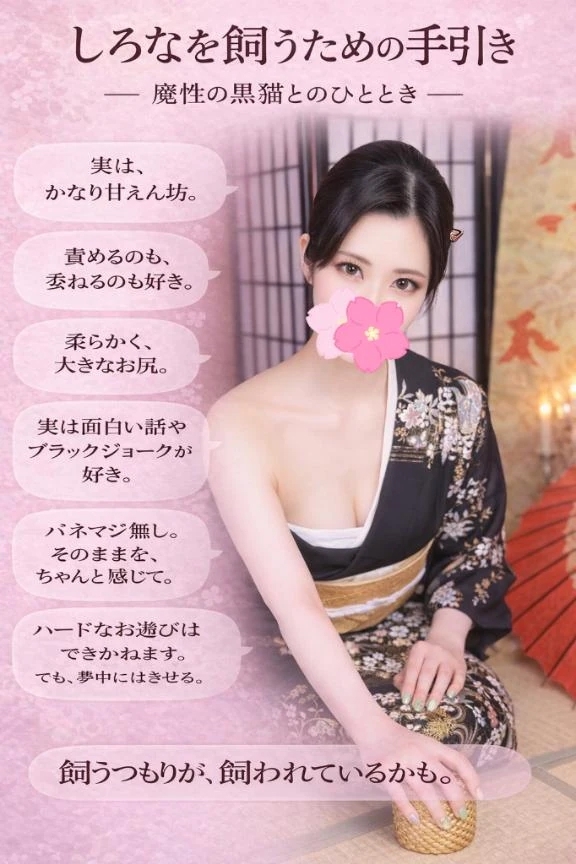 🐈‍⬛ はじめましての飼い主様へ、しろなという黒猫です ‎🤍