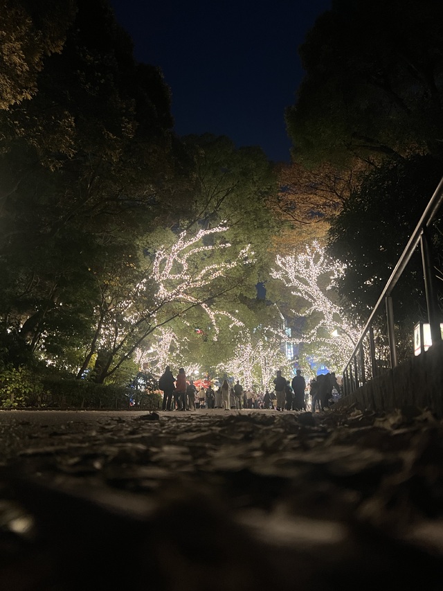 イルミネーション