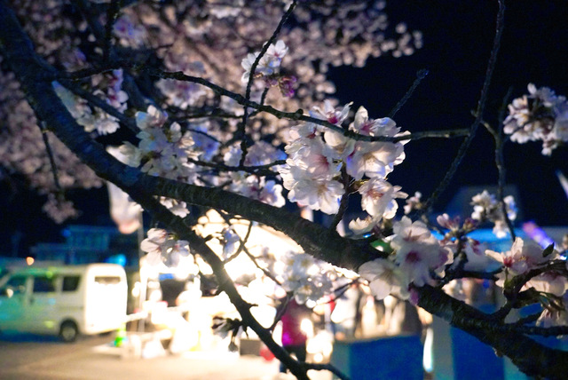 来週の予定