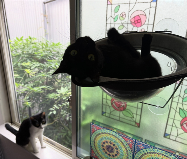 おはよう😃