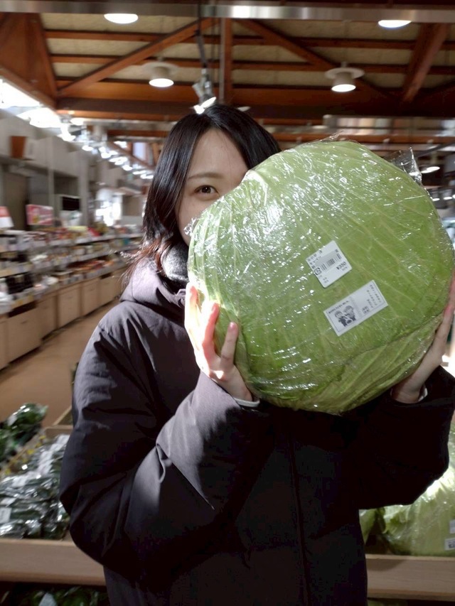 おばけキャベツ