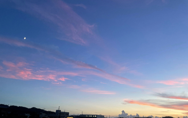 幸村 かなで