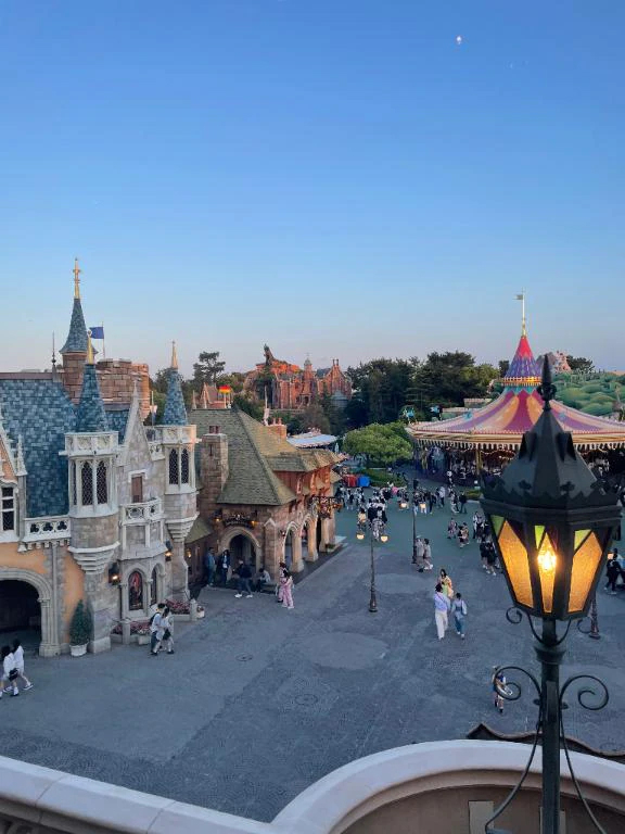 🏰ディズニー行くと何歳でもこうなる🌏