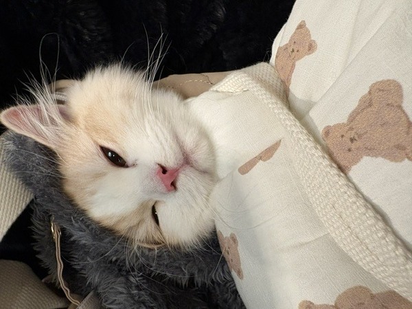 そら