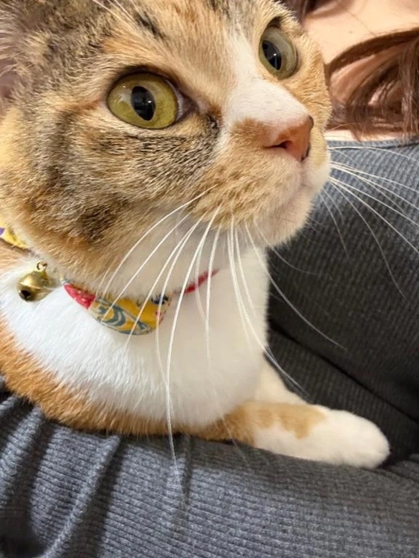 特等席♡