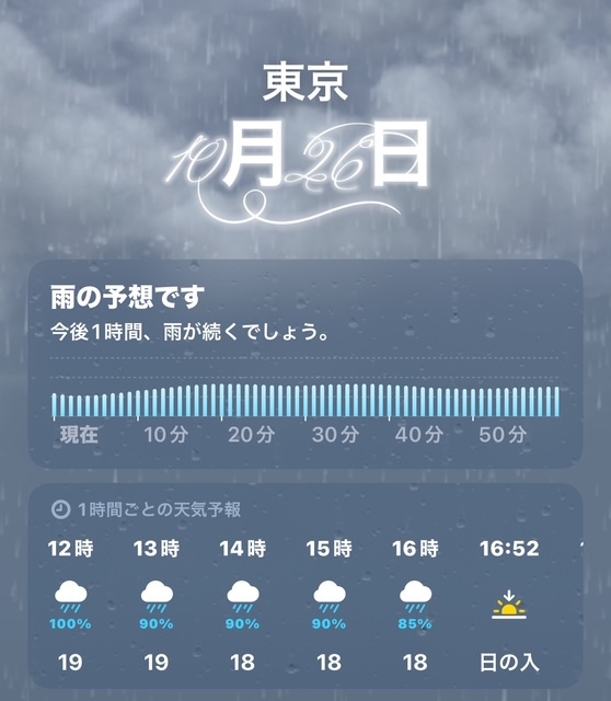 スケジュール