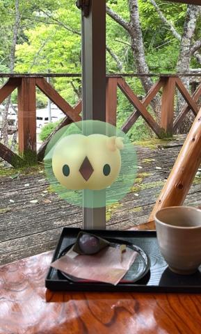 ポケモン????