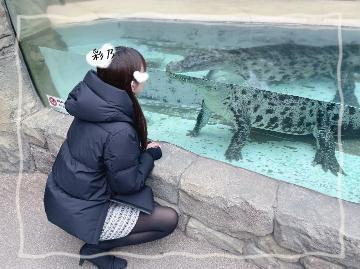 バナナワニ園??