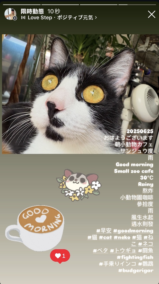 おはよう👾