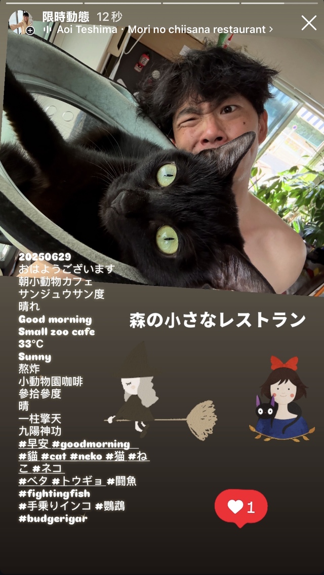 魔女猫cafe