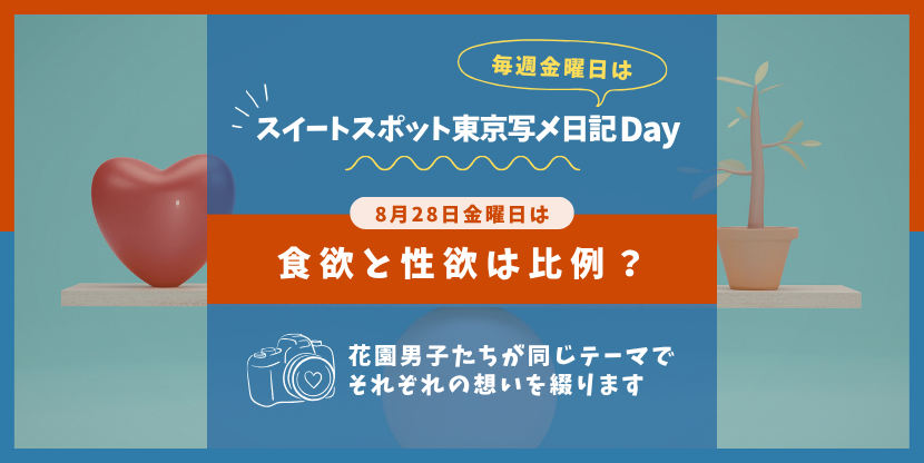 写メ日記
