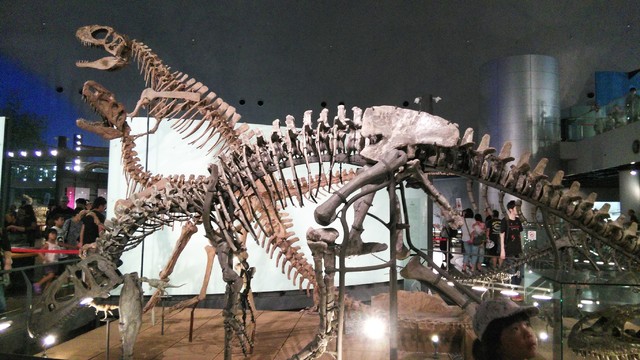恐竜が好き🦖