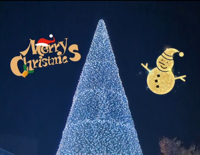 どこかの大きな🎄クリスマスイルミネーション🎄