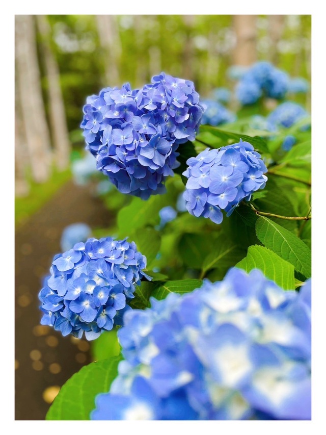 おはようございます🌤️.°