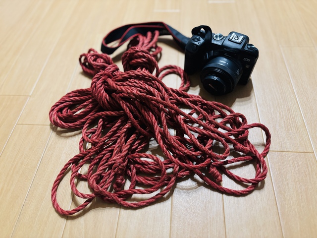 緊縛とカメラと私