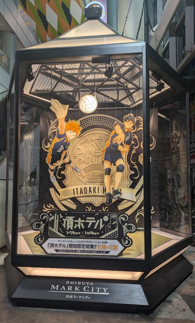 好きな漫画・アニメ紹介①ハイキュー!!