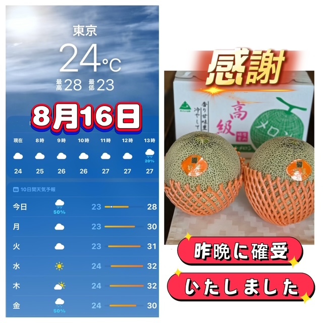 ありがとうございます。