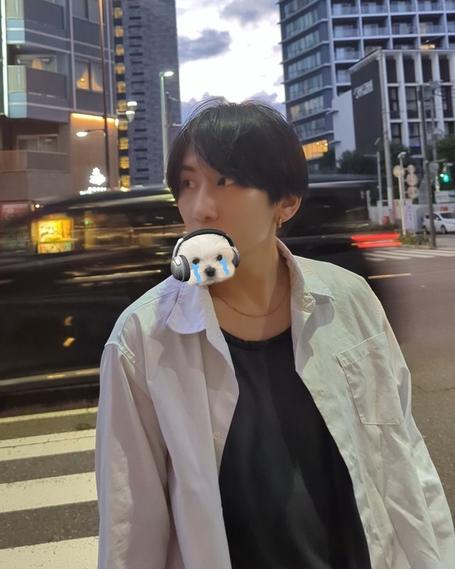 泣いてる犬