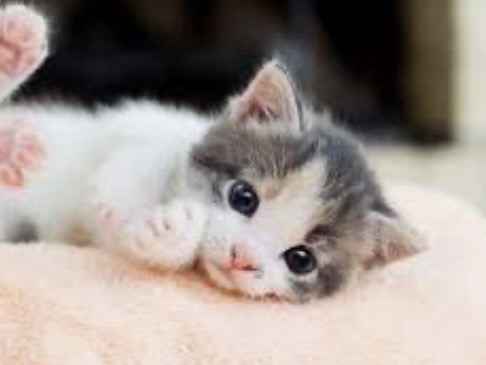 思わずハグしちゃう