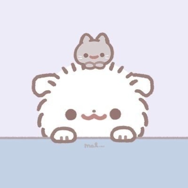 チェックしてね⭐