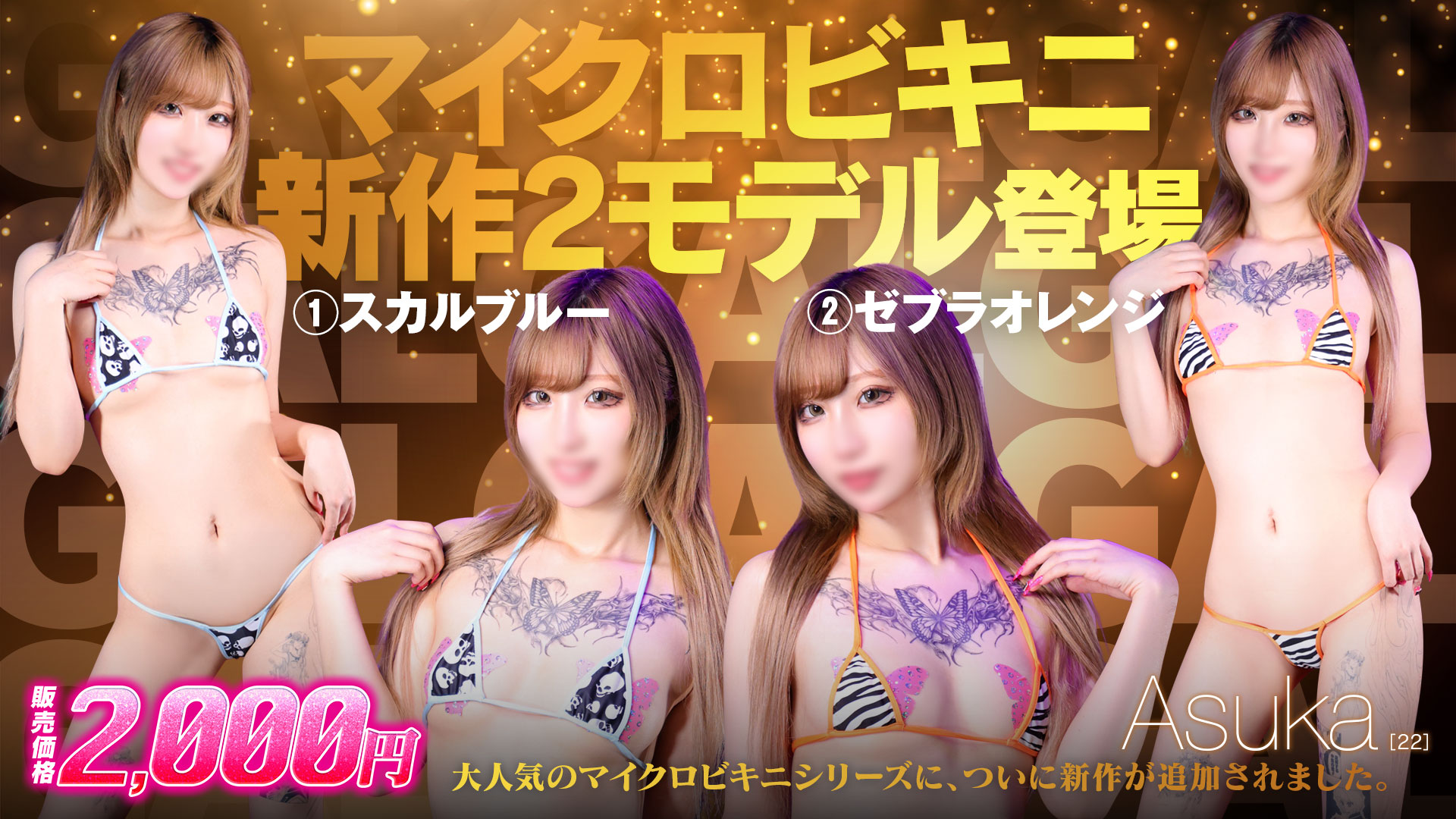 画像テスト2タイプの特別衣装─画像