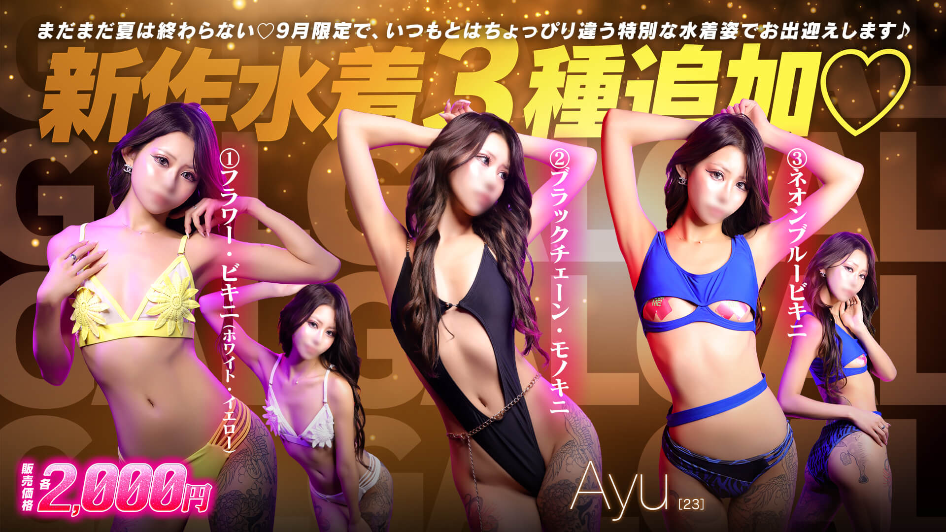 画像テスト2タイプの特別衣装─画像